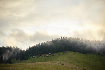 Carpathians, mountains in the fog, landscape of summer landscapes