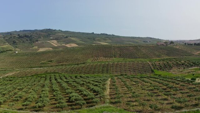 Aerial view of fields in Sciacca Agrigento Sicily Italy