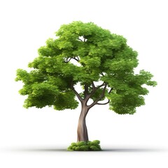 3D Cartoon Tree Isolated on White Background with Clipping Path, Full Depth of Field, and Focus Stacking Generative AI
