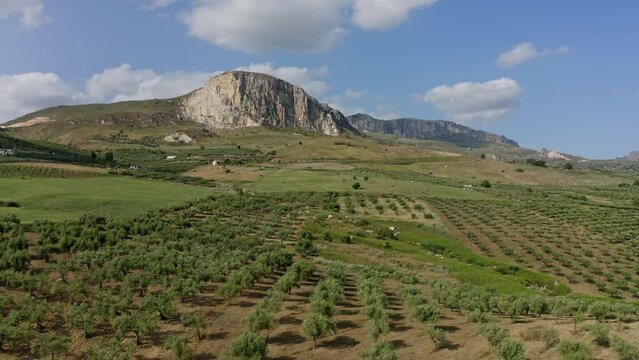 Aerial view of fields in Sciacca Agrigento Sicily Italy