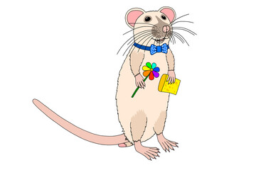 Light rat with a semi-flower and a piece of cheese, isolated drawing, in a flat style on a white background.