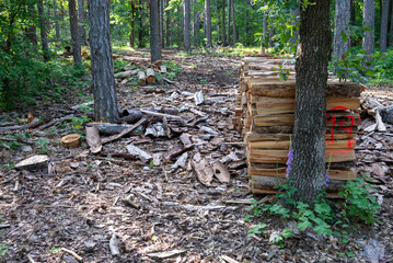 Natur und Landschaft