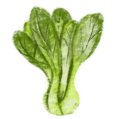 Drawing Greenish Kale