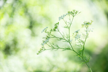 Natur und Landschaft