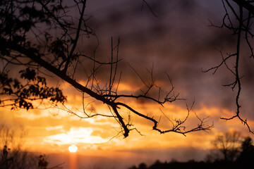 Sunset with clouds and plants in silhouette in Mugello country, Italy