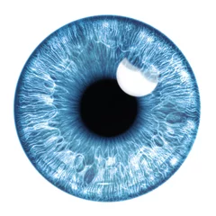 Fotobehang Blue eye iris - human eye © Aylin Art Studio