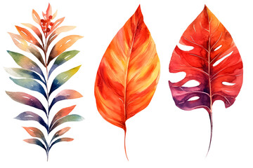 set watercolor autumn exotic plants on a white background.