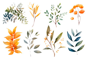 set watercolor autumn exotic plants on a white background.