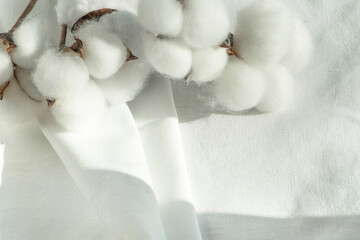 Cotton-plant harvest and cotton fabric linen. Fluffy fibers in flower balls on branch, white canvas. Weaving material for textile production