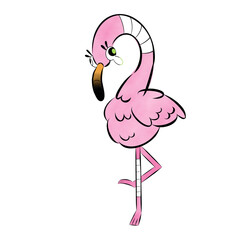 flamingo