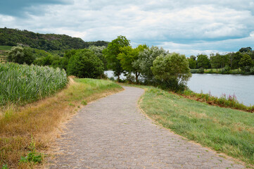Fototapeta na wymiar Landscape with a bicycle path or sidewalk at the river Moselle in Trier, rhineland palatine in Germany, summer at the valley 