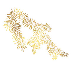 Christmas tree branch with golden foil texture isolated on white background.
