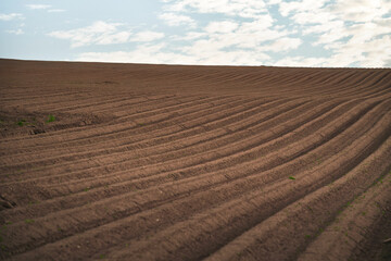 Brown agricultural soil of a field. Plowed field prepared and cultivated. Rural farm landscape