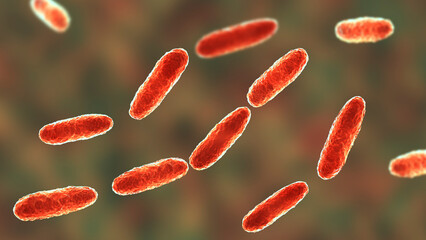 Klebsiella bacteria, a type of Gram-negative bacteria known for causing a range of infections, 3D illustration