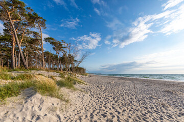Darsser Weststrand, Karibik der Ostsee.