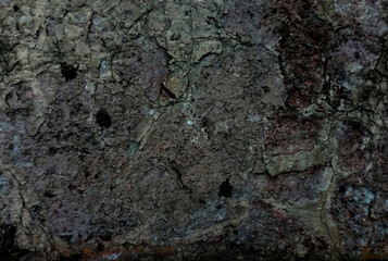 Texture of rough surface felled tree weathered with annual rings.Detailed warm dark brown and orange tones of a felled tree trunk or stump.vintage natural background with autumn leaves, trunk with ann