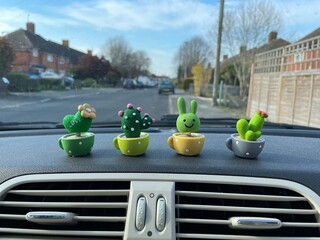 cars in the street