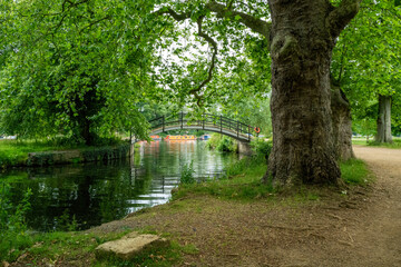 Christchurch Meadows, Oxford, England