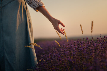 Beautiful girl on the background of a lavender purple field