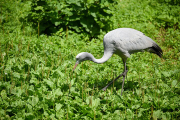 Vogelpark in Niedersachsen