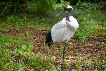 Vogelpark in Niedersachsen