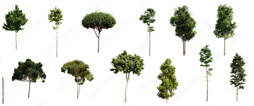 Poster set of different types of pine trees isolated on transparent background. 3d render.