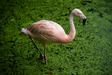 Vogelpark in Niedersachsen