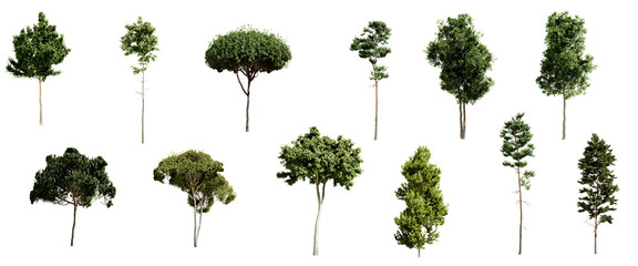 Set of different types of pine trees isolated on transparent background. 3D render. - 623216397