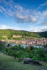 Fototapeta na wymiar Heidelberg city in summer, Baden-Württemberg, Germany