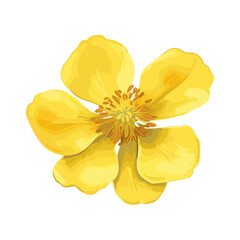 Obraz premium Blooming watercolor yellow flower. Yellow spring flower head isolated. Floral watercolor. Design element for wedding cards, invitations, greeting posters. Vector botanical illustration.
