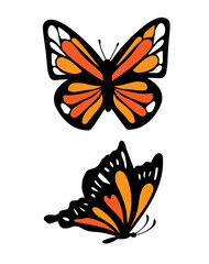 The monarch butterfly vector illustration