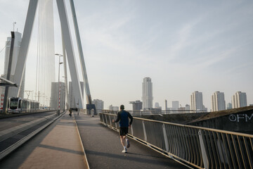 Fototapeta premium Ponte Erasmo Rotterdam