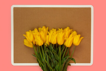 Bouquet of yellow tulip on cork note board on pink background. Copy space, mock up. Space for text