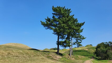 한국의 도시 주변 풍경