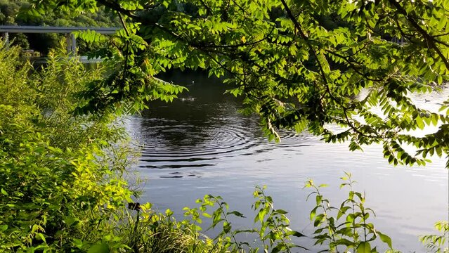 Colorful landscape. Summer season, wild nature