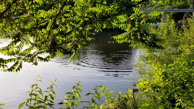 Sunset reflection and glistening small waves. Evening light atmosphere