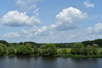 Fototapeta na wymiar Summer sunny landscape. View of the river, green shore, dense forest, blue sky with white clouds. Beauties!