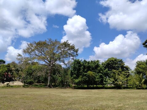 Es un d&iacute;a muy hermoso para las fotos 
