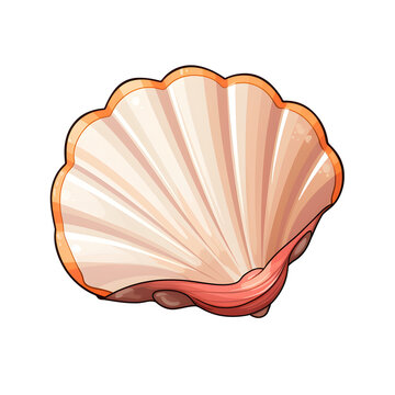 recommend clip art: clam clipart, transparent background