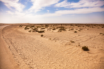 Fototapeta na wymiar View of expenses photography of Sahara desert sunny day, sand dunes and stones. Landscape of desert hills with sand, vegetation and blue sky, Sahara, Tozeur city, Tunisia, Africa. Copy ad text space