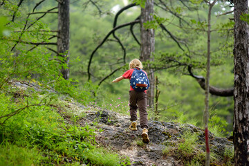 School child is hiking and exploring nature in forest. Preteen boy travel in woodland. Summer vacation activity for inquisitive kids in parkland. Adventure, scouting, tourism for kids