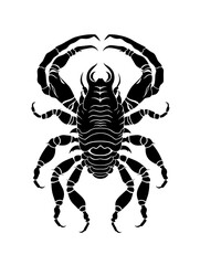 scorpion zodiac horoscope astrology twelve metaphysical sectors