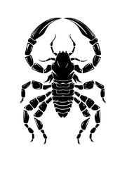 scorpion zodiac horoscope astrology twelve metaphysical sectors