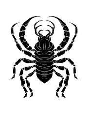 scorpion zodiac horoscope astrology twelve metaphysical sectors