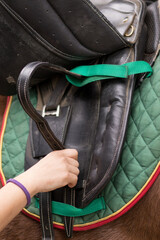 How to use horse saddle, harness and strap accessories. Mid-adult Hispanic woman closeup in paddock