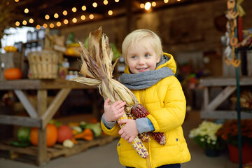 Glad boy holding colorful ears of indian corn at the seasonal agricultural fair