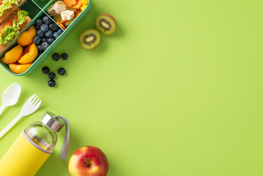 Engage audience's appetite by presenting top-down image of lunchbox with delicious sandwiches, fresh fruits, veggies, and water bottle on light green isolated background, allows for text or promotion