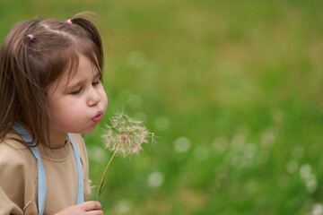 Portrait of a pretty girl blowing on a white balloon plant with parachute seeds. Copy space.