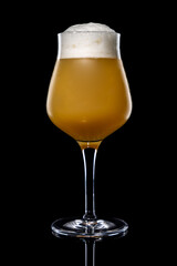 leckeres Glas Bier - Hazy IPA (India Pale Ale)