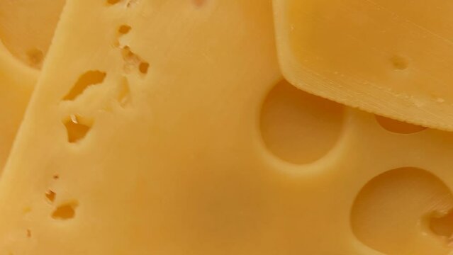 yellow cheese slices with large hole , rotation in circle. yellow cheese slice (edam, maaasdam), Turning. selective focus.